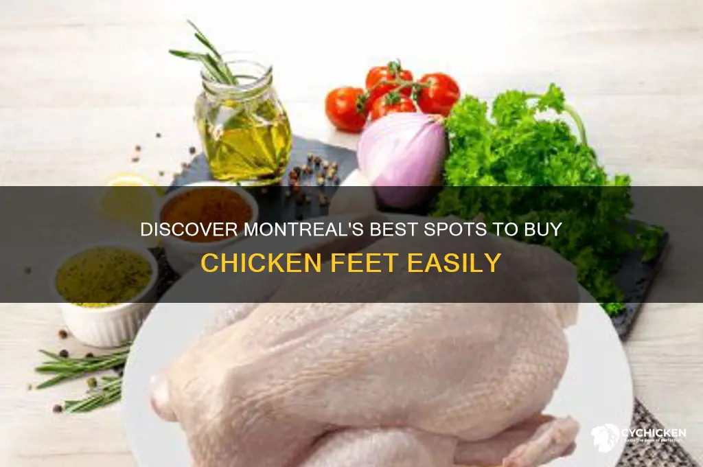 where to buy chicken feet in montreal