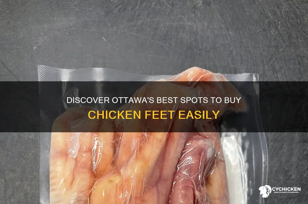 where to buy chicken feet in ottawa