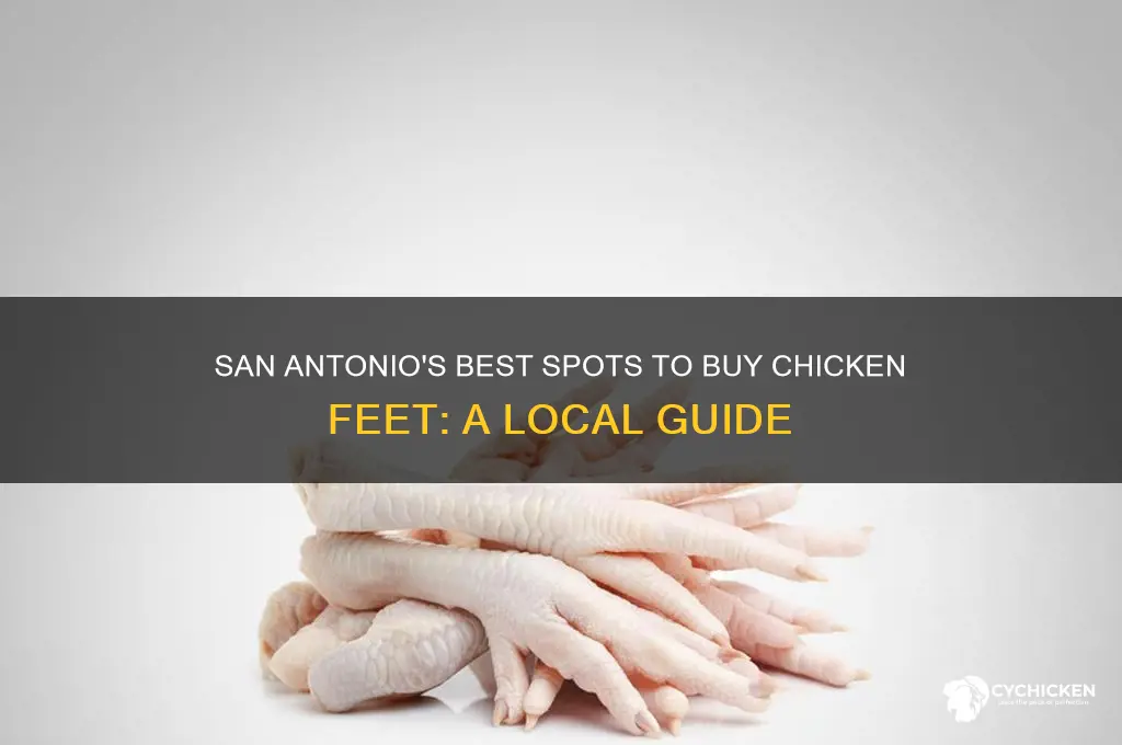where to buy chicken feet in san antonio