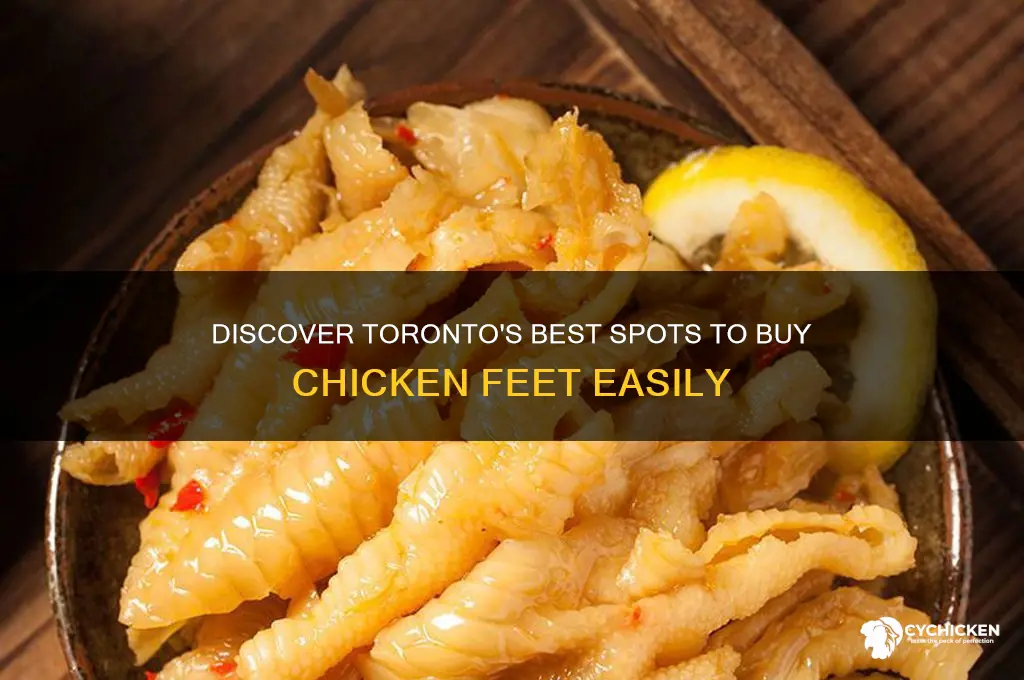 where to buy chicken feet in toronto