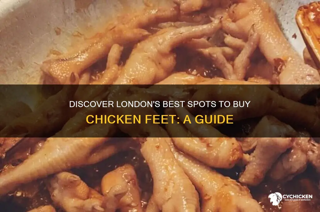 where to buy chicken feet london