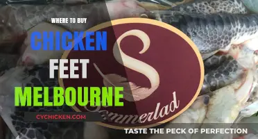 Discover Melbourne's Best Spots to Buy Chicken Feet Today