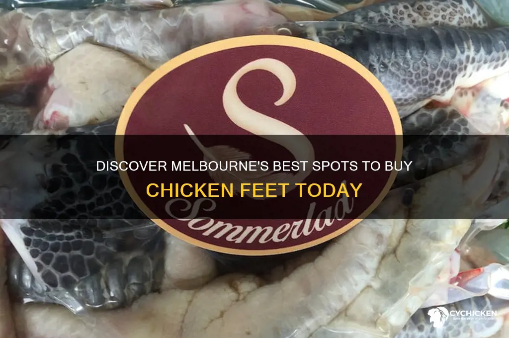 where to buy chicken feet melbourne