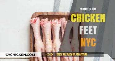 Discover the Best Spots to Buy Chicken Feet in NYC