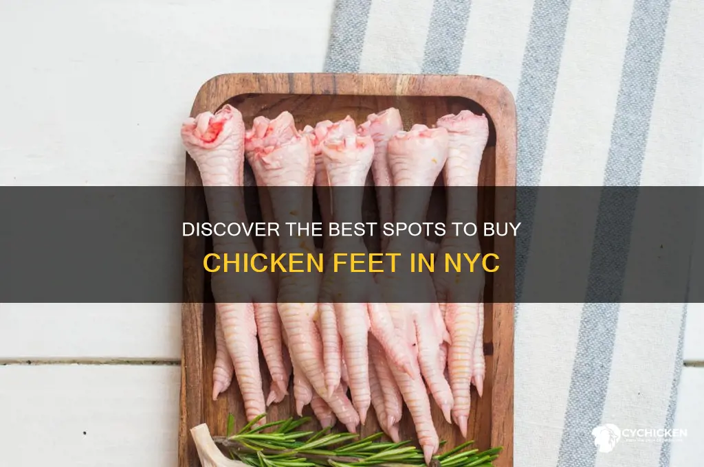where to buy chicken feet nyc