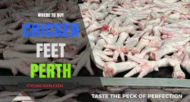Where to Buy Chicken Feet in Perth: Top Local Sources