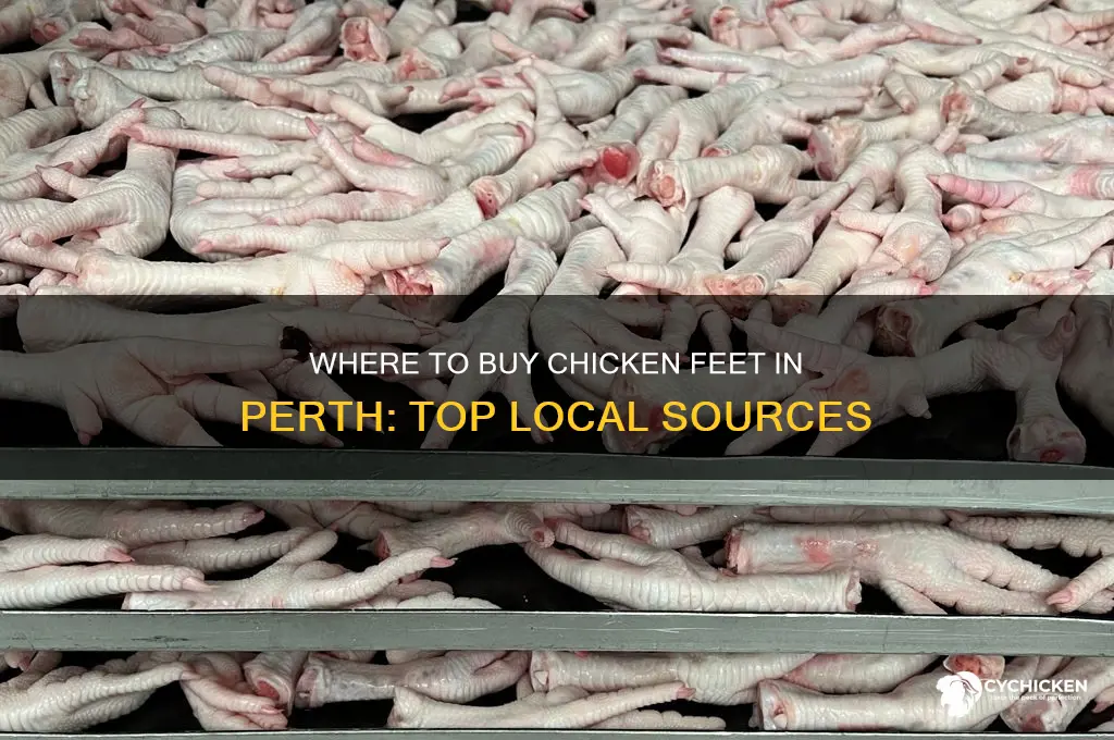 where to buy chicken feet perth
