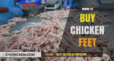 Where to Buy Chicken Feet: Top Stores and Online Sources