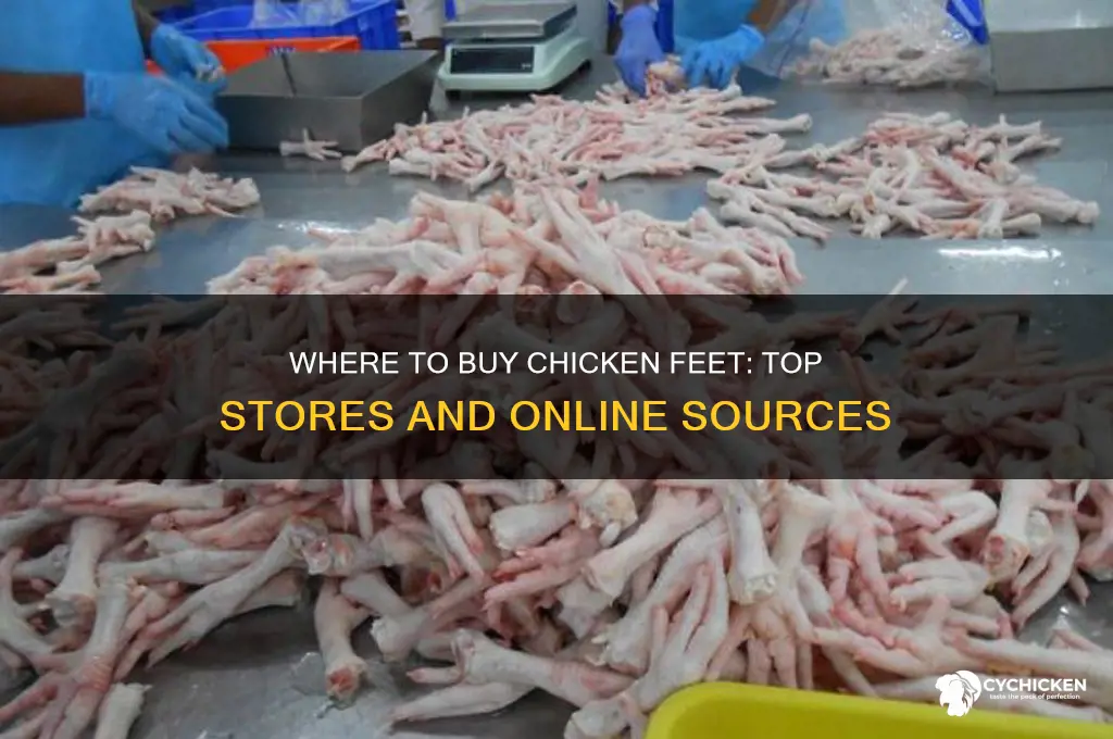 where to buy chicken feet