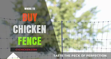 Best Places to Purchase Durable Chicken Fencing for Your Coop
