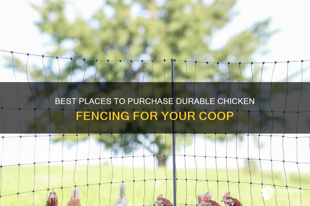 where to buy chicken fence