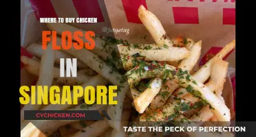 Best Spots to Buy Delicious Chicken Floss in Singapore
