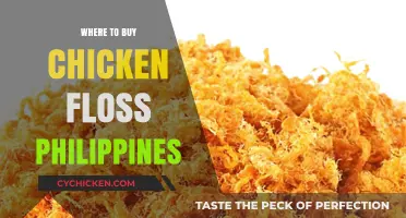 Discover Top Spots to Buy Chicken Floss in the Philippines
