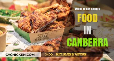 Best Places to Buy Chicken Feed in Canberra: A Local Guide
