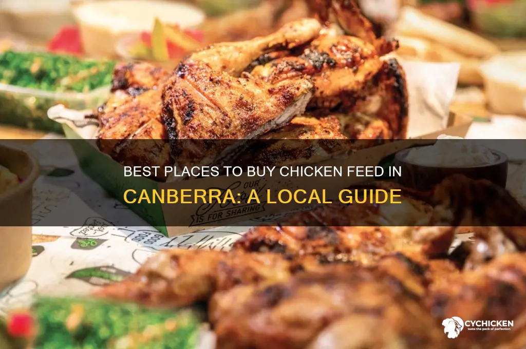 where to buy chicken food in canberra