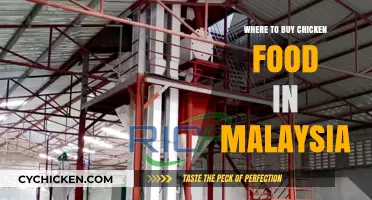 Best Places to Buy Chicken Feed in Malaysia: A Comprehensive Guide