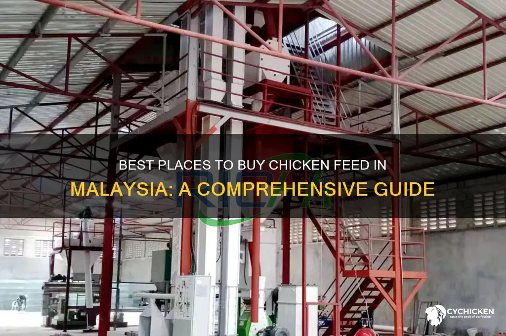 where to buy chicken food in malaysia