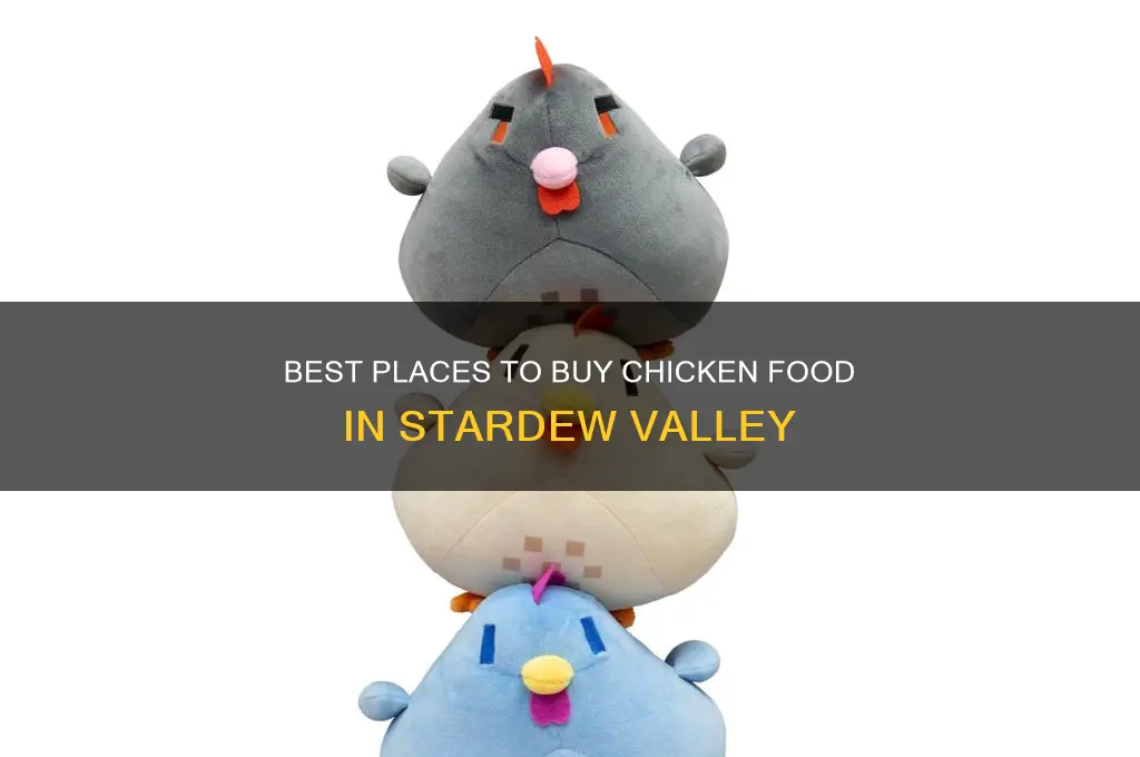 where to buy chicken food stardew