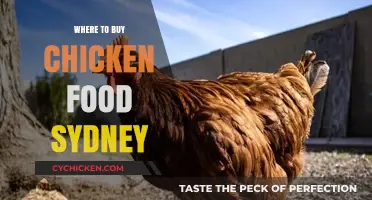 Best Places to Buy Chicken Feed in Sydney: A Guide