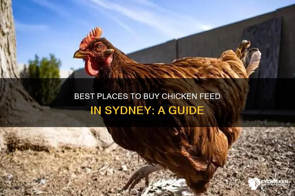 where to buy chicken food sydney