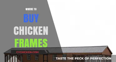 Best Places to Purchase Chicken Frames for Cooking and Broth