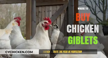 Best Places to Buy Chicken Giblets for Your Culinary Adventures
