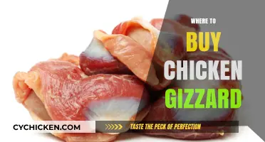 Discover the Best Places to Buy Chicken Gizzard Near You