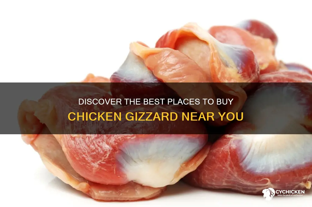 where to buy chicken gizzard