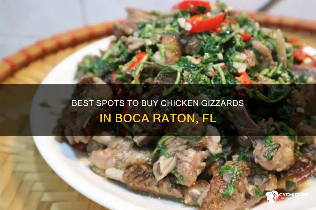 where to buy chicken gizzards boca raton