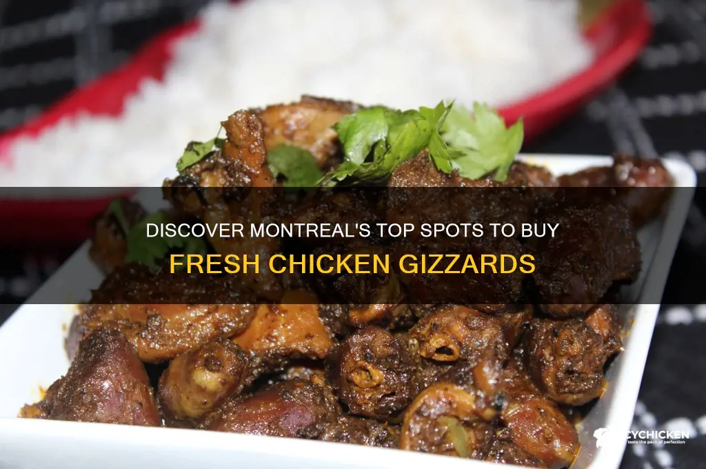 where to buy chicken gizzards in montreal