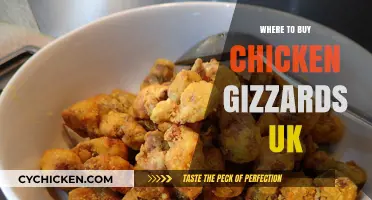 Discover the Best UK Spots to Buy Chicken Gizzards Today