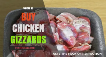 Discover the Best Places to Buy Chicken Gizzards Near You