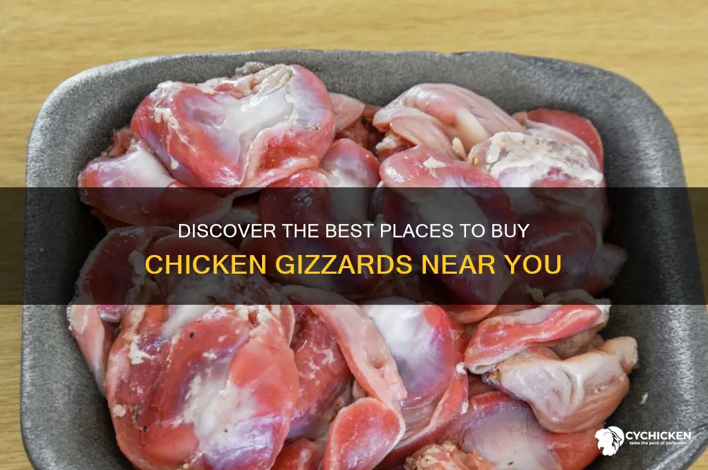 where to buy chicken gizzards