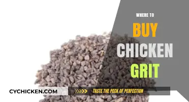 Best Places to Buy Chicken Grit for Healthy Poultry Care
