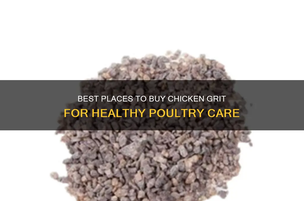 where to buy chicken grit