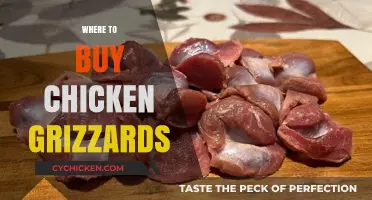 Discover the Best Places to Buy Chicken Gizzards Near You