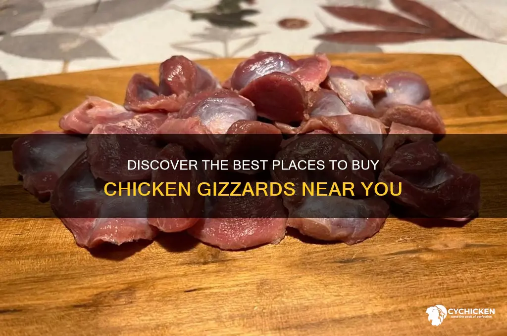 where to buy chicken grizzards