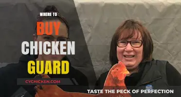 Where to Buy Chicken Guard: Top Retailers and Online Stores