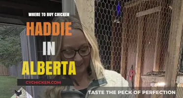 Discover Alberta's Best Spots to Buy Authentic Chicken Haddie