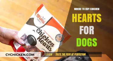 Best Places to Buy Chicken Hearts for Your Dog's Diet
