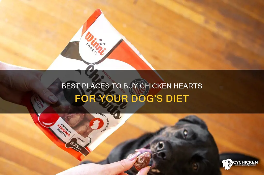 where to buy chicken hearts for dogs