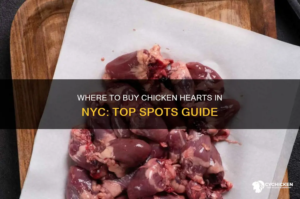 where to buy chicken hearts nyc
