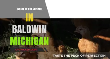 Best Places to Buy Fresh Chicken in Baldwin, Michigan