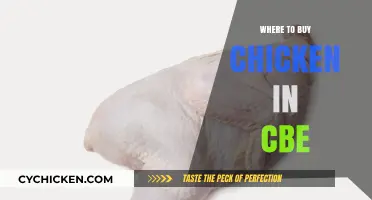 Best Places to Buy Fresh Chicken in Coimbatore: A Local's Guide