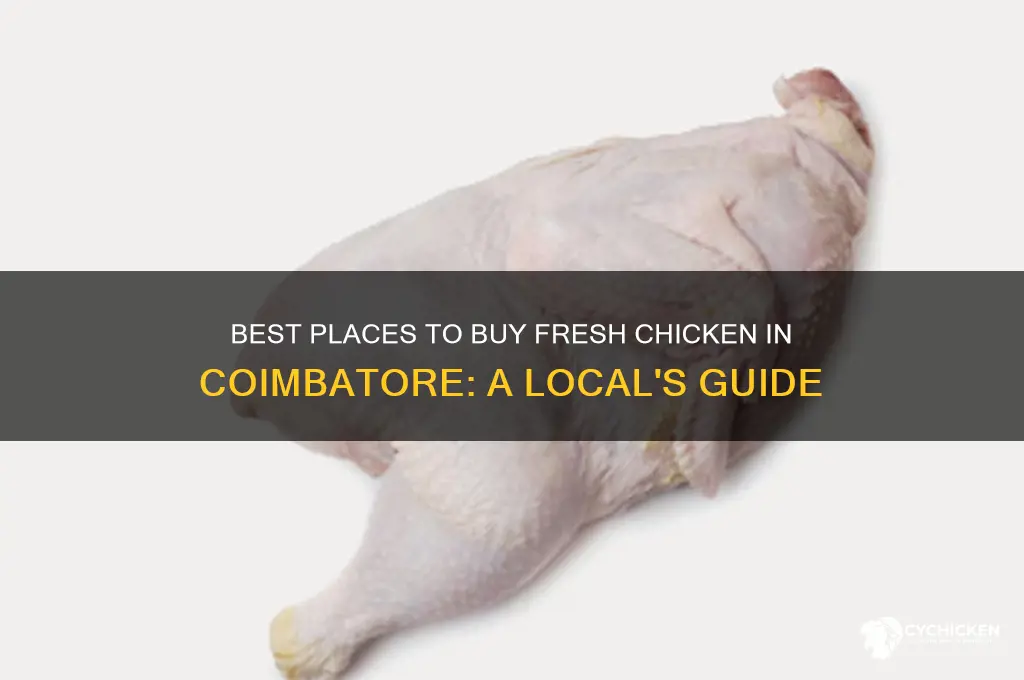 where to buy chicken in cbe