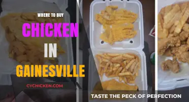 Best Places to Buy Fresh Chicken in Gainesville, Florida