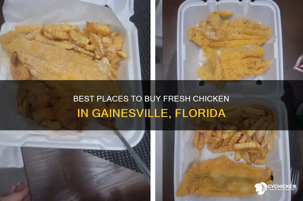 where to buy chicken in gainesville