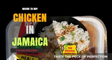 Discover Jamaica's Best Spots to Buy Fresh and Tasty Chicken