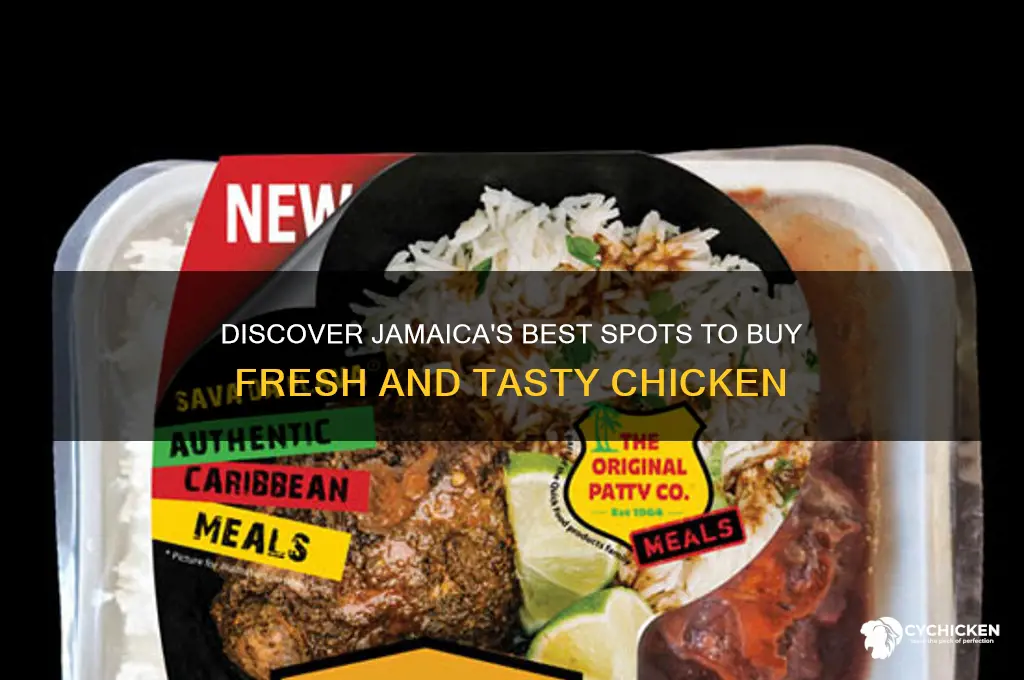 where to buy chicken in jamaica