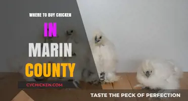 Best Spots to Buy Fresh Chicken in Marin County